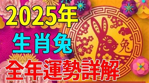 2024生肖兔運勢|生肖兔: 性格，愛情，2024運勢，生肖1987，1999，2011